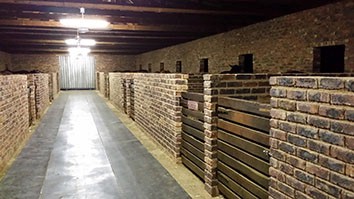 Inside StarlightStables barn